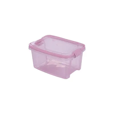 Caixa Organizadora Plasútil Com Trava E Alça 2,6L