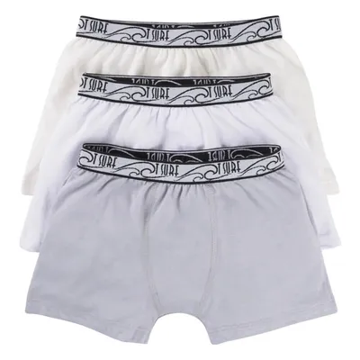Kit Cueca Boxer Infantil Com 03 Peças Em Cor Sortida 14563 Kit Cueca Boxer Infantil Com 03 Peças Em Cor Sortida 14563