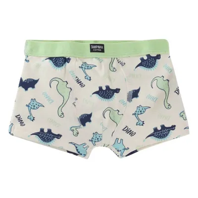 Kit Cueca Boxer 03 Peças Estampa / Cor Sortida 7367