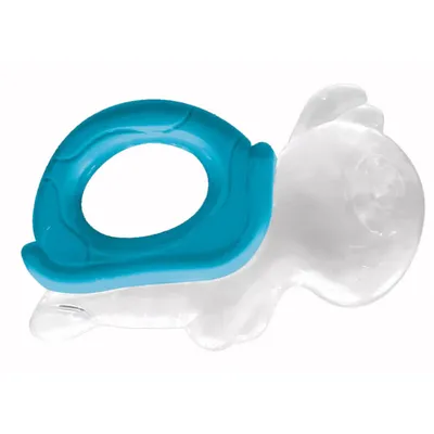 Mordedor Macio Pais & Filhos Tartaruga ¿ Cores Sortidas