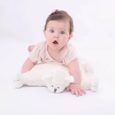 Almofada Zip Meu Primeiro Puppet Ovelha Carola