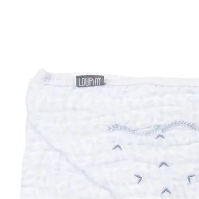 Toalha Com Capuz Minasrey Loupiot Clean Soft Bordado Carro Toalha Com Capuz Minasrey Loupiot Clean Soft Bordado Carro