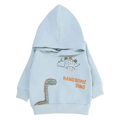 Conjunto Bebê Baby Gijo Moletom Capuz Estampa Dino