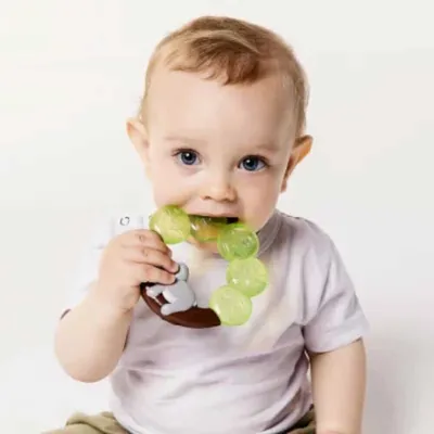 Mordedor de Água Buba Coala