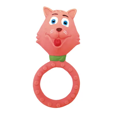 Mordedor Bebê Pais E Filhos Gatinha Latex