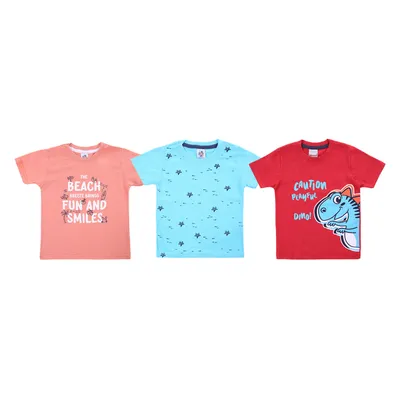 kit Camiseta Infantil Desayner Menino 9 Peças kit Camiseta Infantil Desayner Menino 9 Peças