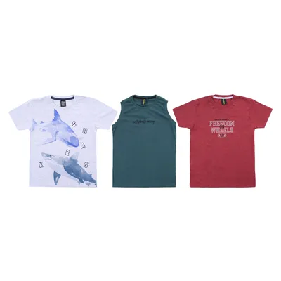 kit Camiseta Infantil Desayner Menino 9 Peças kit Camiseta Infantil Desayner Menino 9 Peças