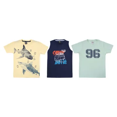 kit Camiseta Infantil Desayner Menino 9 Peças kit Camiseta Infantil Desayner Menino 9 Peças