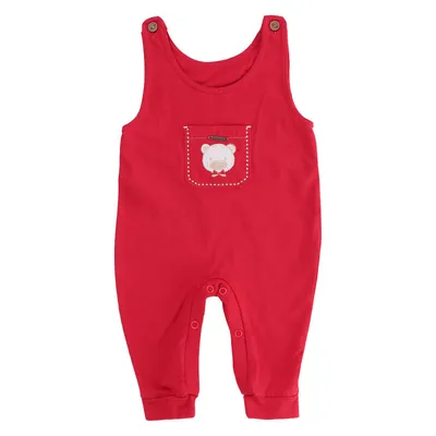 Macacão Longo Aconchego Do Bebê Jardineira Ursinho