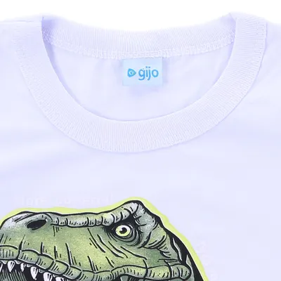 Camiseta Manga Longa Infantil Gijo Estampa Dino T-Rex