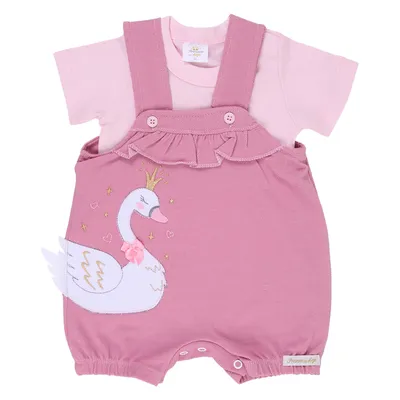 Conjunto Bebê Presente De Anjo Bordado Cisne
