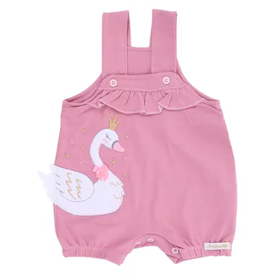 Conjunto Bebê Presente De Anjo Bordado Cisne